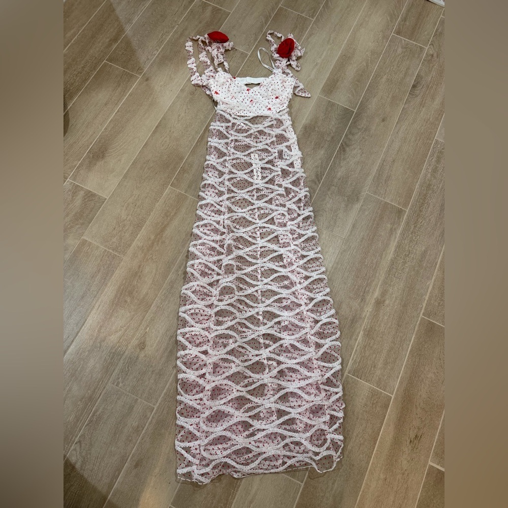 NWT For Love and Lemons Giada Sheer Polka Dot Maxi Dress Size Medium XS - Picture 6 of 10